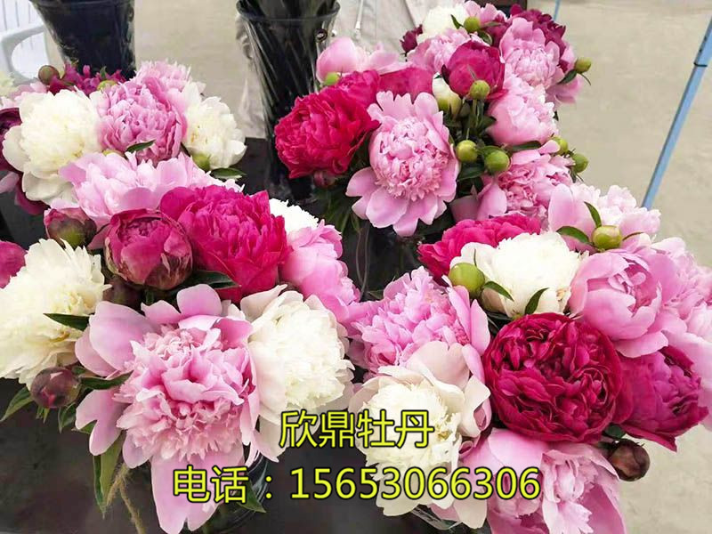 戳我试试