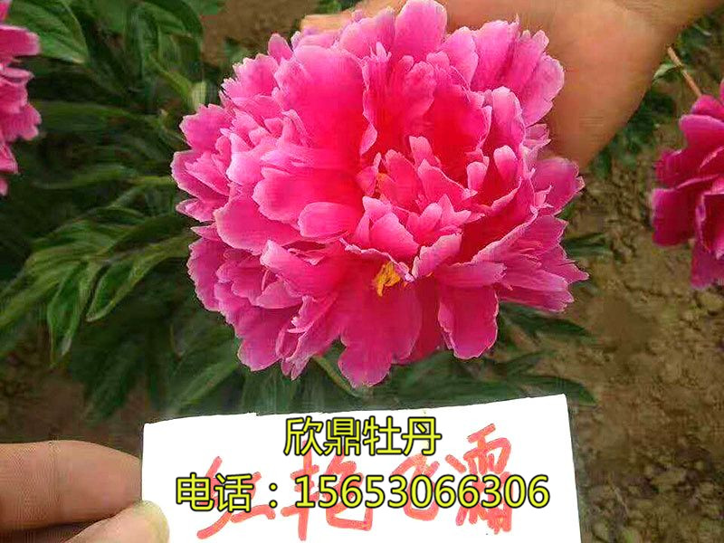 戳我试试