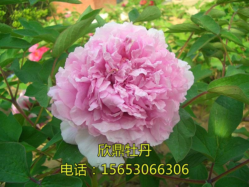 戳我试试
