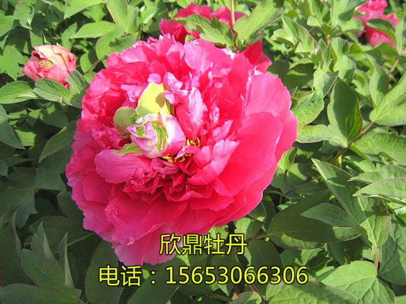 霓虹焕彩